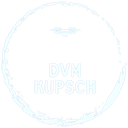 DVM Kupsch