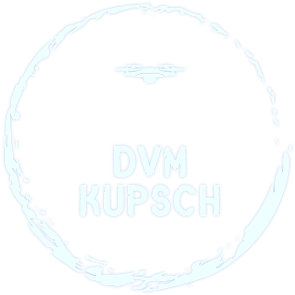 DVM Kupsch Logo